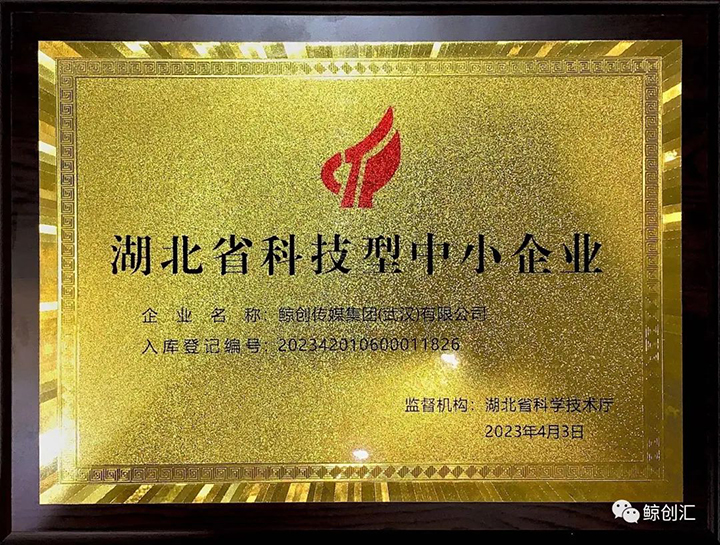 鲸创传媒集团（武汉）有限公司荣膺“科技型中小企业”荣誉称号