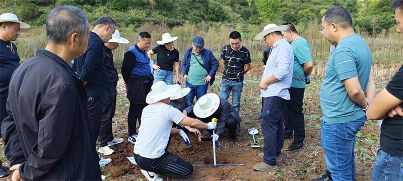 湖南沅陵县：第三次全国土壤普查工作正式启动 图2
